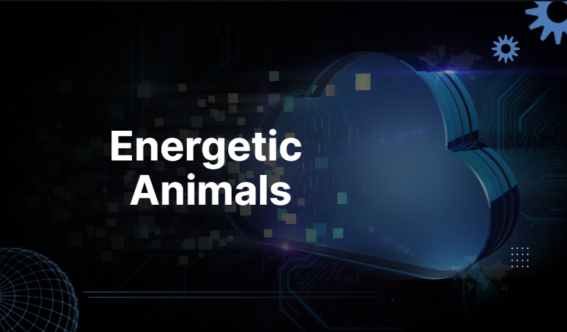 Energetic Animals