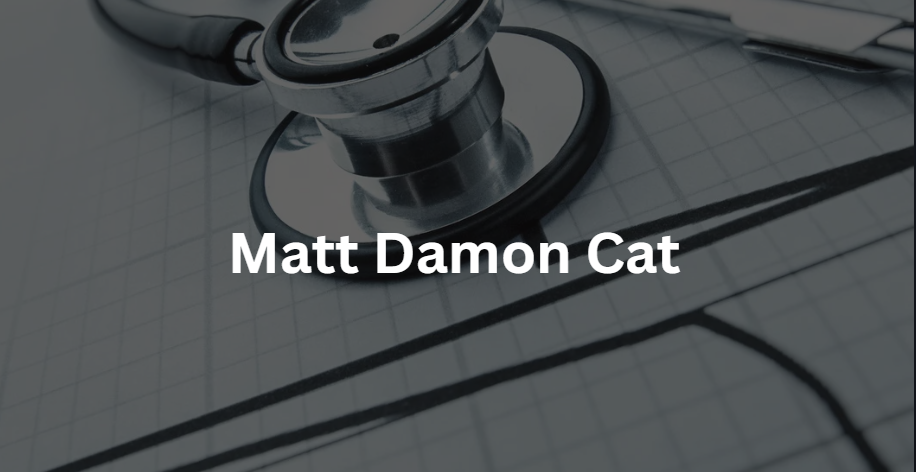 matt damon cat