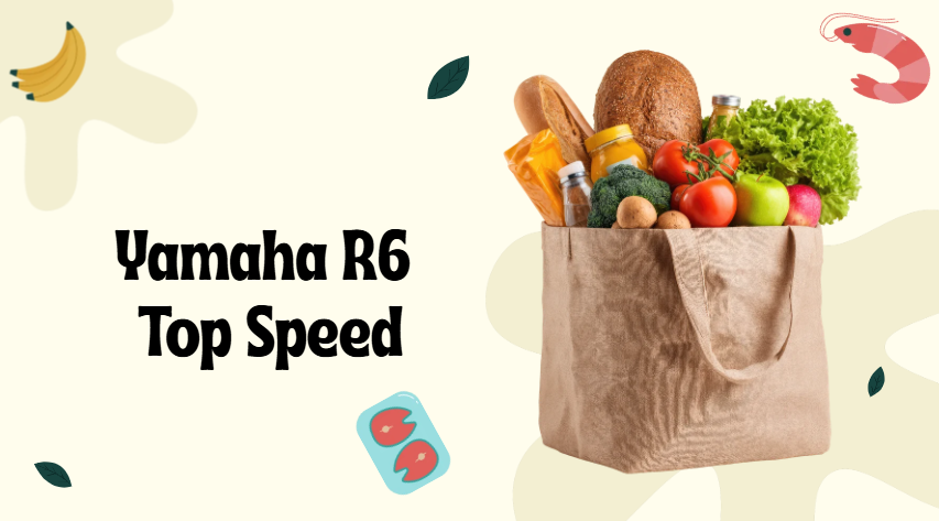 yamaha r6 top speed